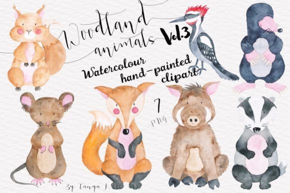 Download Watercolor Cute Woodland Animals - Woodland animals Collection