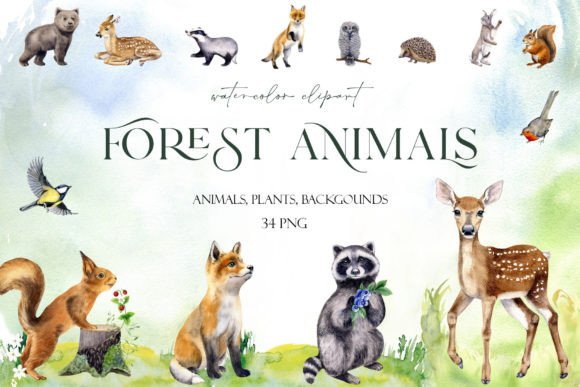 Download Watercolor Set Cute Woodland Animals Png - Woodland animals Collection