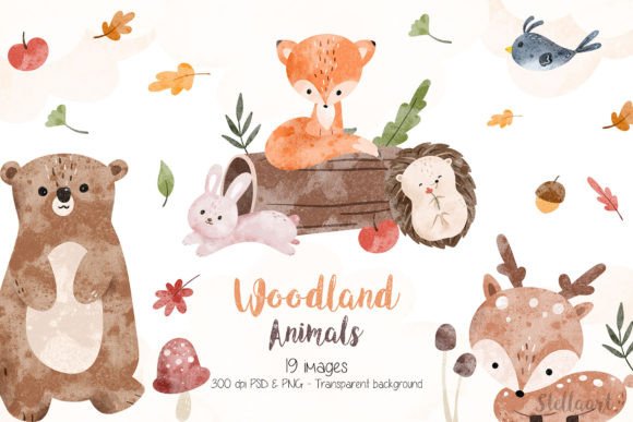 Download Watercolor Woodland Animals - Woodland animals Collection